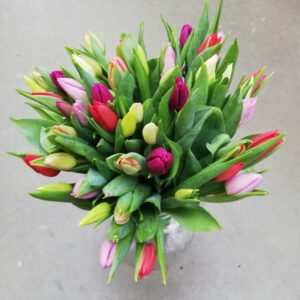Boeket tulpen - Snijbloemen online bestellen - Boeket laten leveren - Tuincenter Van Nuffelen