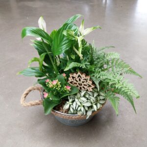 PLANTENSCHAAL